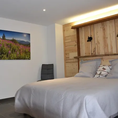 4 Etoiles Avec Sauna Et Terrasses Pour 14 Pers. - Fr-1-589-319 *