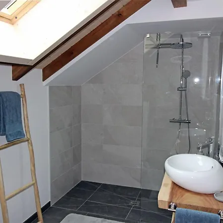 4 Etoiles Avec Sauna Et Terrasses Pour 14 Pers. - Fr-1-589-319 度假居